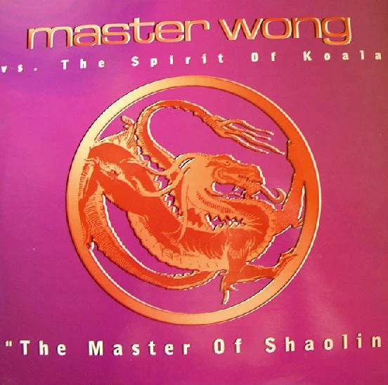 The Master Of Shaolin