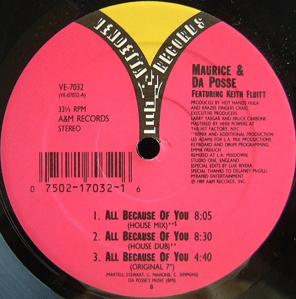 Image of the ordered vinyl