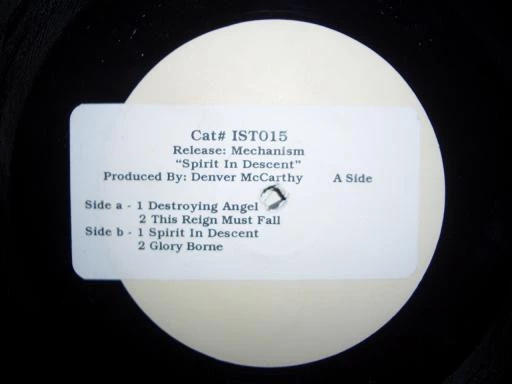 Image of the ordered vinyl