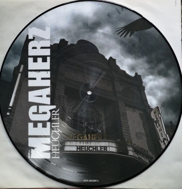 Image of the ordered vinyl