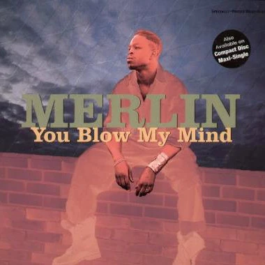 Item You Blow My Mind product image