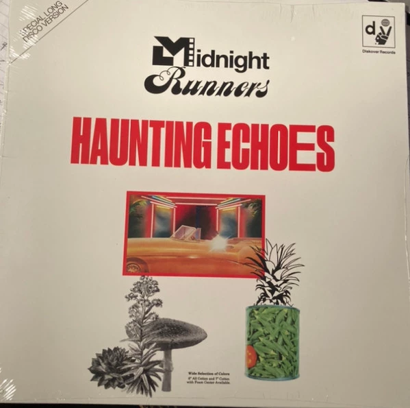 Item Haunting Echoes product image