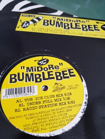 Image of the ordered vinyl