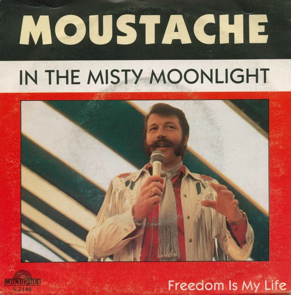 Item In The Misty Moonlight / Freedom Is My Life / Freedom Is My Life product image