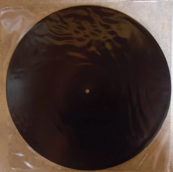 Image of the ordered vinyl