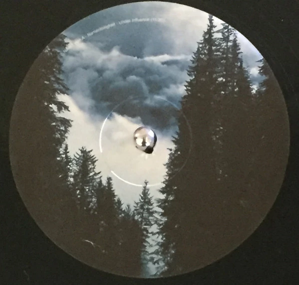 Image of the ordered vinyl