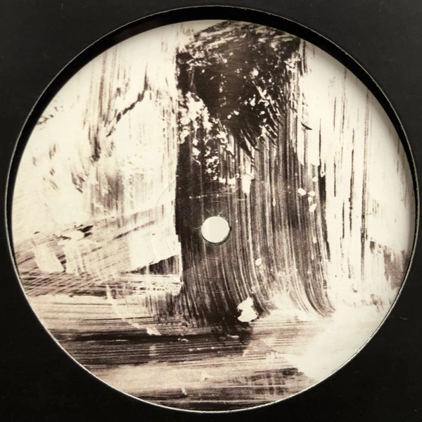 Image of the ordered vinyl