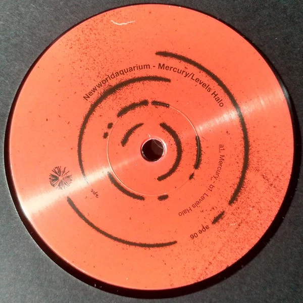 Image of the ordered vinyl