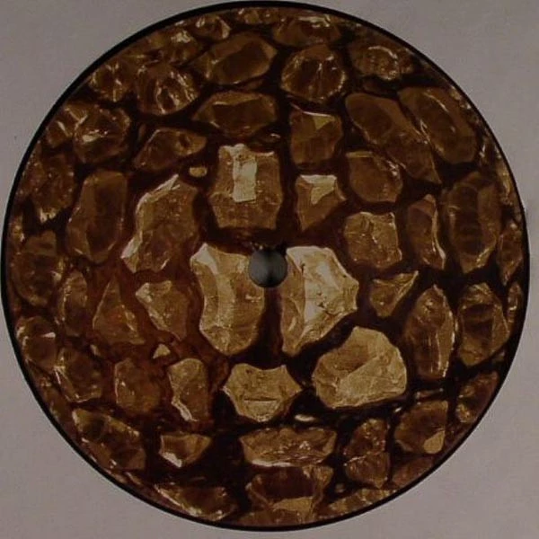 Image of the ordered vinyl