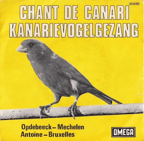 Item Chant De Canari Kanarievogelzang  / Opdebeeck-Mechelen Mechelse Waterslagers product image