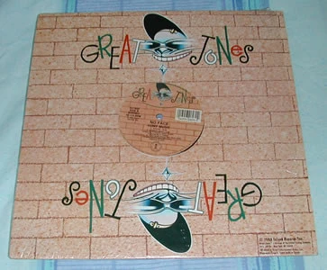 Image of the ordered vinyl