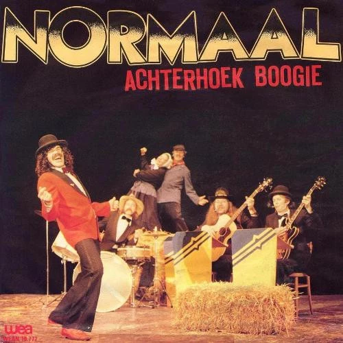 Achterhoek Boogie / Zoepen