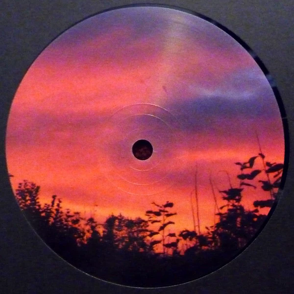 Image of the ordered vinyl