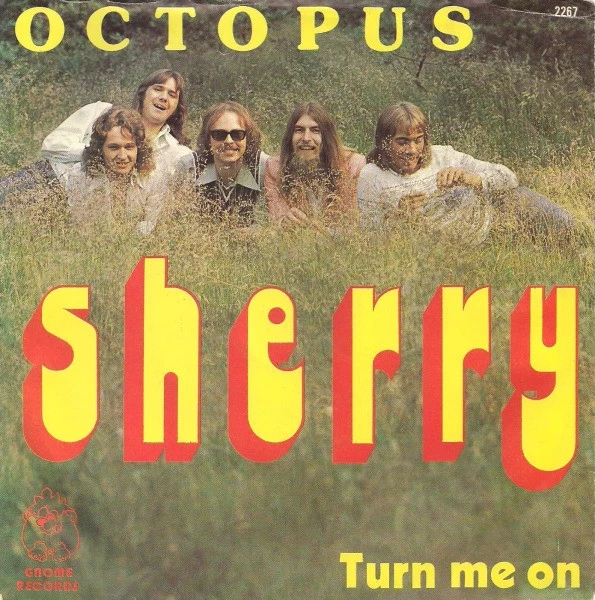 Item Sherry / Turn Me On / Turn Me On product image