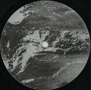 Image of the ordered vinyl