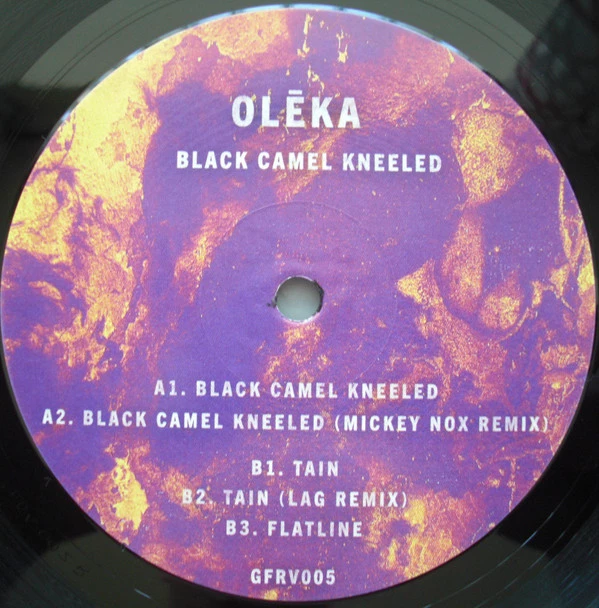 Black Camel Kneeled