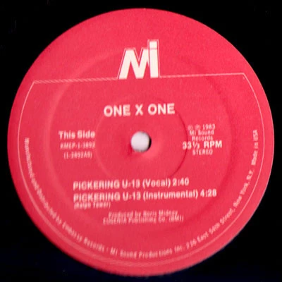 Image of the ordered vinyl