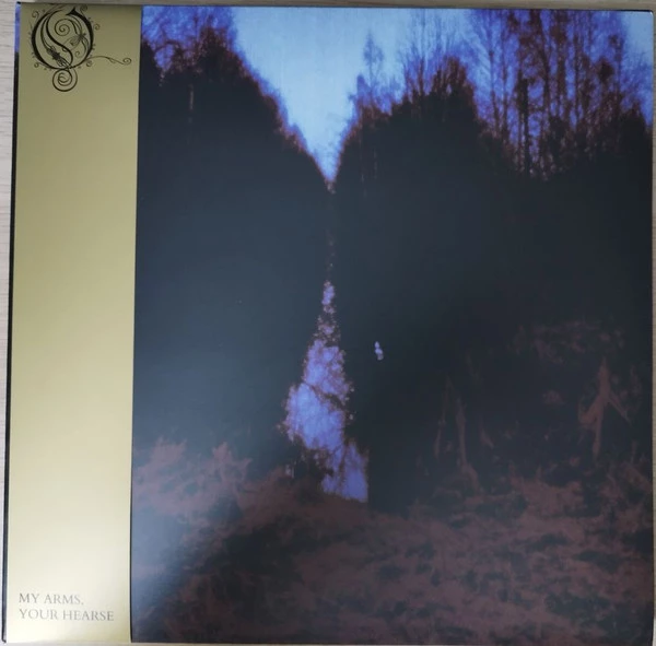 Image of the ordered vinyl