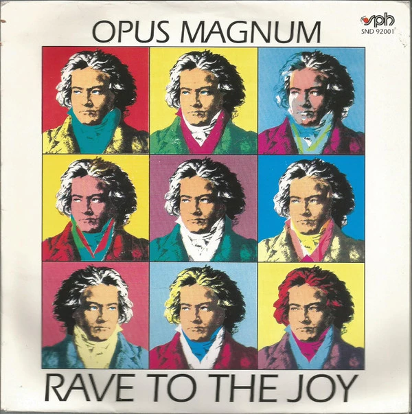 Item Rave To The Joy / Rave To The Joy (Instrumental) product image