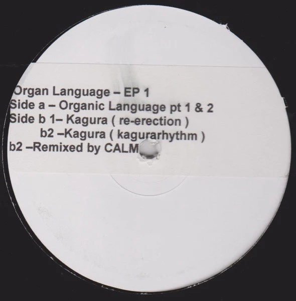 Image of the ordered vinyl