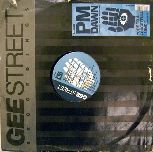 Image of the ordered vinyl