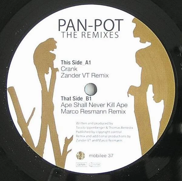 The Remixes