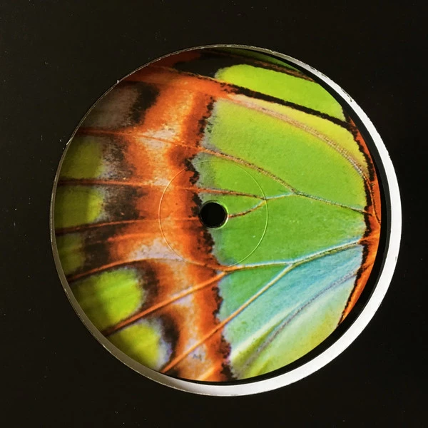 Image of the ordered vinyl