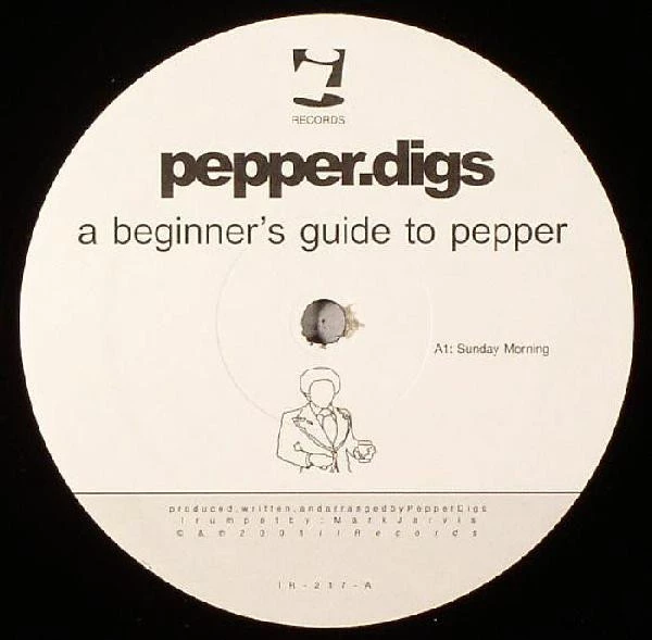 Item A Beginner's Guide To Pepper product image