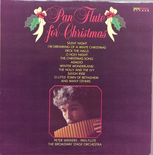 Pan Flute For Christmas