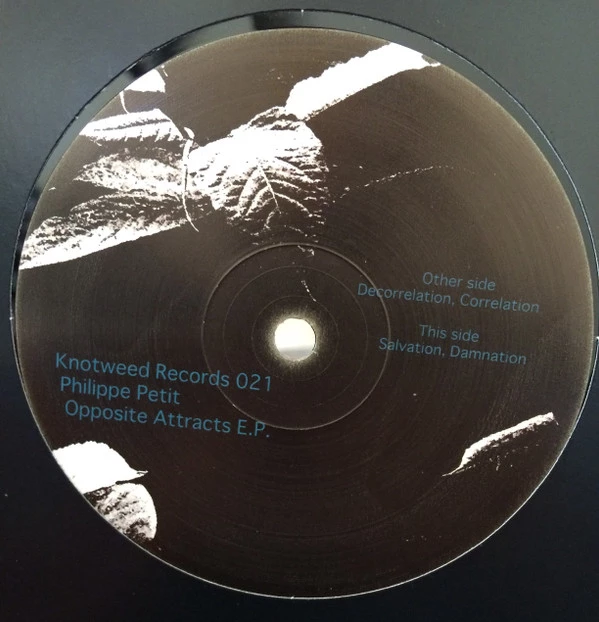 Image of the ordered vinyl