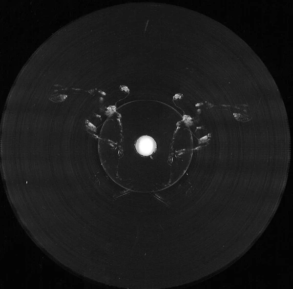 Image of the ordered vinyl