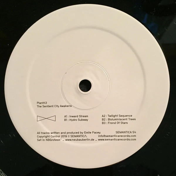 Image of the ordered vinyl