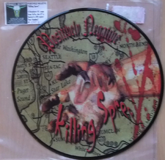 Image of the ordered vinyl