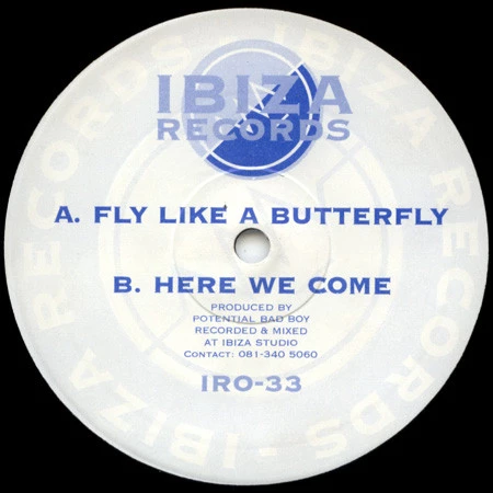 Item Fly Like A Butterfly / Here We Come product image