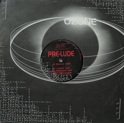 Image of the ordered vinyl