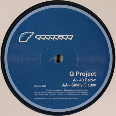 Image of the ordered vinyl