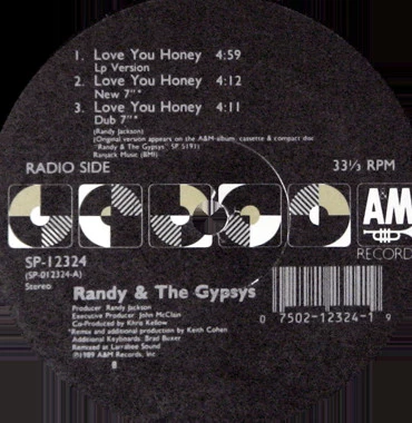 Image of the ordered vinyl