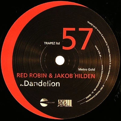 Image of the ordered vinyl