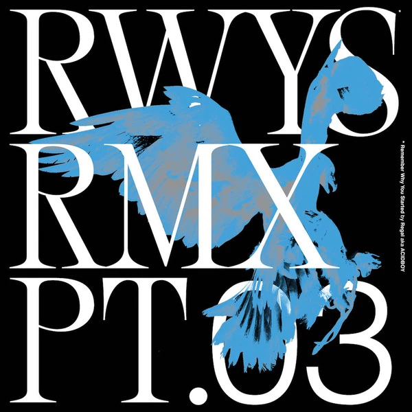 Item RWYS Remixes Pt.03 product image