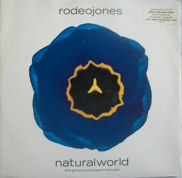 Natural World (The Groove Corporation Remixes)