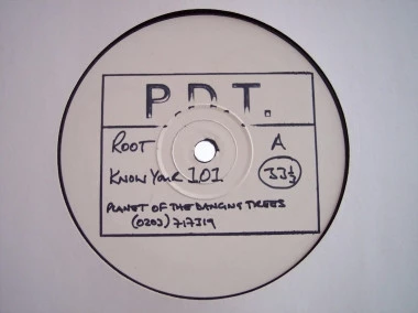 Image of the ordered vinyl