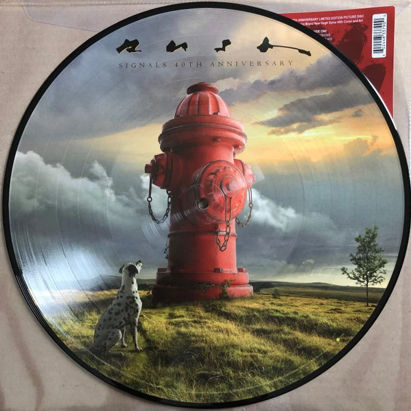 Image of the ordered vinyl