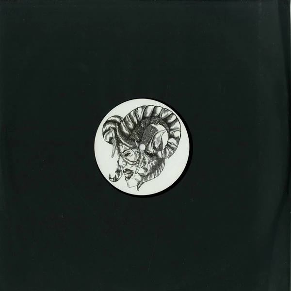 Image of the ordered vinyl