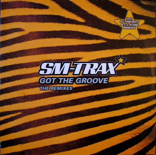 Got The Groove (The Remixes)