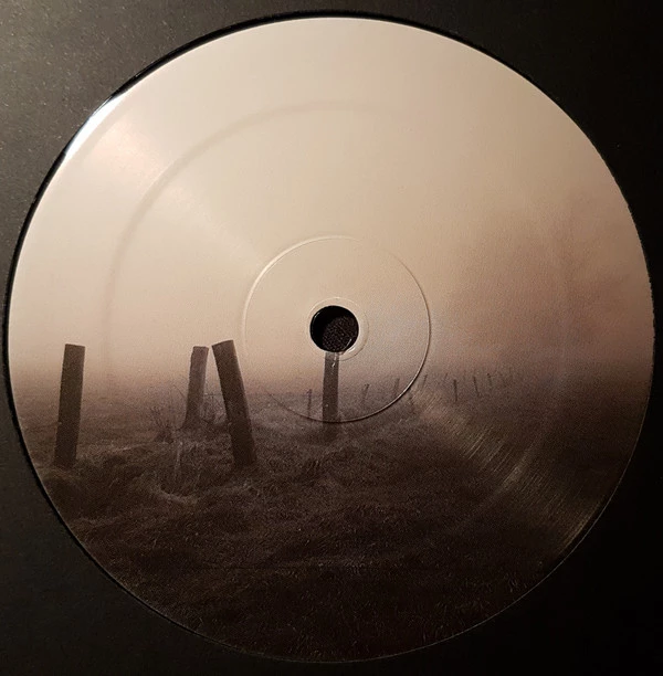 Image of the ordered vinyl