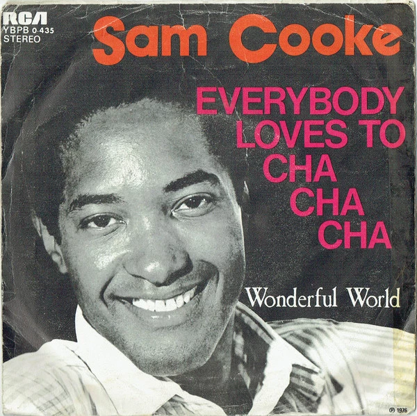 Item Everybody Loves To Cha Cha Cha / Wonderful World product image