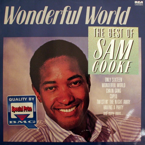 Item Wonderful World (The Best Of Sam Cooke) product image