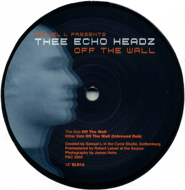 Image of the ordered vinyl