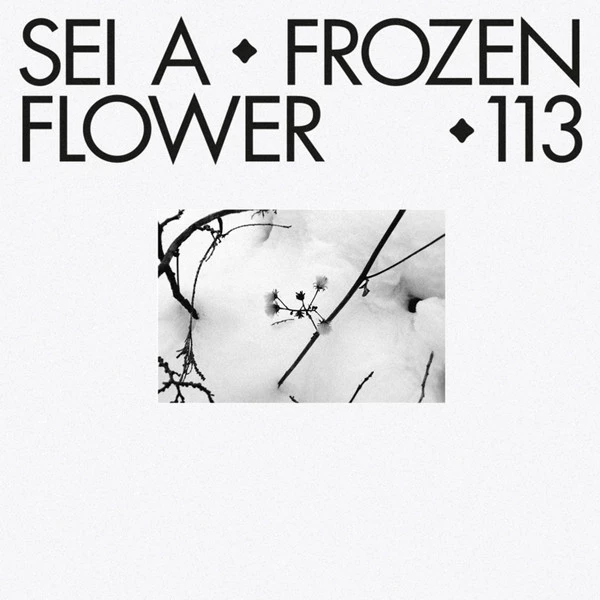 Item Frozen Flower product image