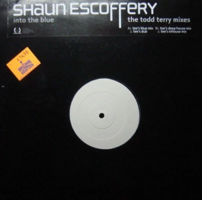 Item Into The Blue (The Todd Terry Mixes) product image